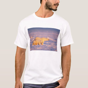 T-shirt Ours polaire femelle avec des oursons de printemps