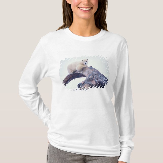 T-shirt Ours polaire sur le dessus d'un os de mâchoire de  (Devant)