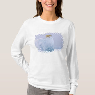 T-shirt ours polaire, Ursus maritimus