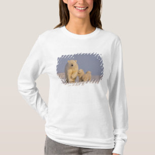 T-shirt ours polaire, Ursus maritimus, truie avec nouveau-