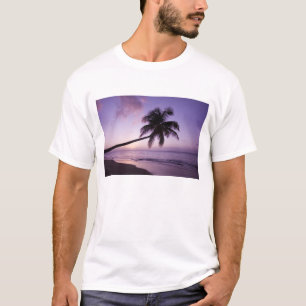 T-shirt Palmier solitaire au coucher du soleil, plage de C