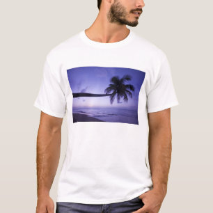 T-shirt Palmier solitaire au coucher du soleil, plage de C