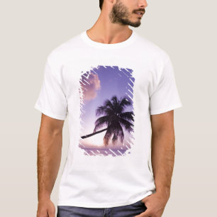 T-shirt Palmier solitaire au coucher du soleil, plage de C