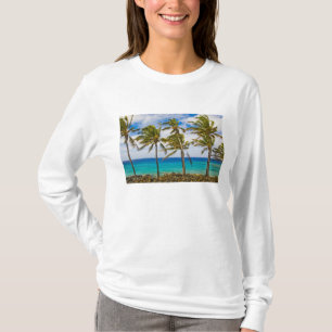 T-shirt Palmiers à noix de coco (Cocos nucifera) se balanç