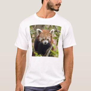 T-shirt Panda-023 rouge