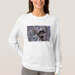 T-shirt Panda géant debout sur un arbre, Wolong, Sichuan,