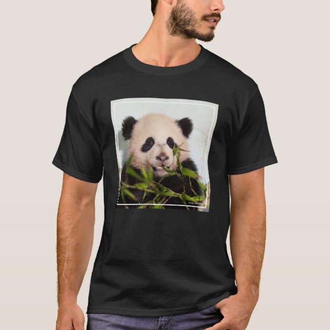 T-shirt Panda géant se penchant contre le mur (Devant)