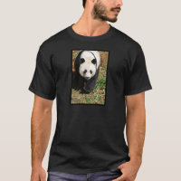 Panda noir et blanc