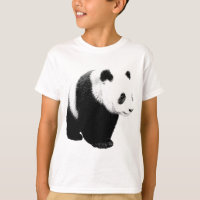 Panda noir et blanc