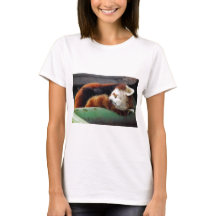 Panda rouge de sommeil