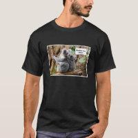 Pandas ou Koalas - Qui sont plus mignons ? Drôle