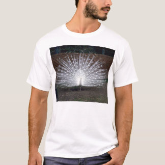 T-shirt Paon albinos