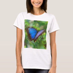 T-shirt Papillon bleu