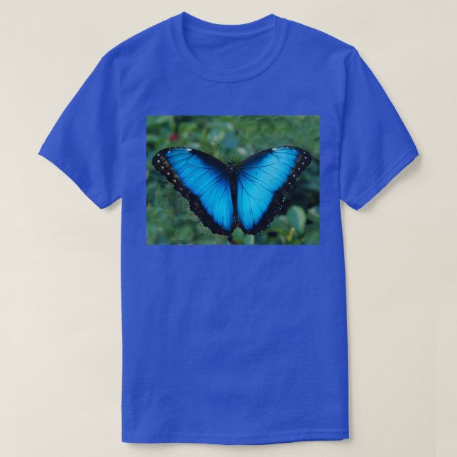 T-shirt Papillon bleu Morpho 9 (Design devant)