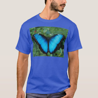T-shirt Papillon bleu Morpho 9