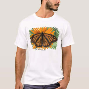 T-shirt Papillon de monarque (plexippus de Danaus) sur le