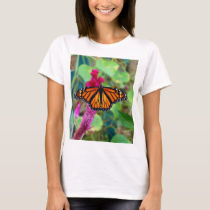 T-shirt Papillon monarque