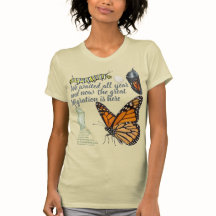 Papillon Monarque