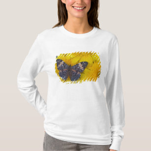 T-shirt Papillon sur une Fleur Jaune