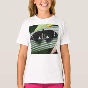 T-shirt Papillon tropical noir et blanc