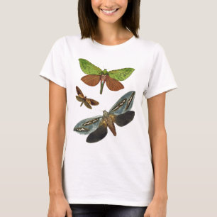 T-shirt Papillons 4