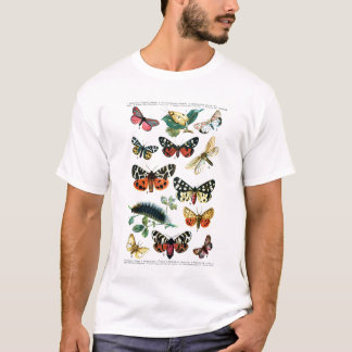 T-shirt Papillons européens