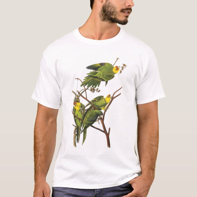 T-Shirt: Parakeets - by John Audubon T-Shirt (Front)