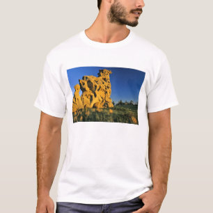 T-shirt Parc d'État de Medicine Rocks près d'Ekalaka Monta