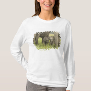T-shirt Parc national de Corbett, Uttaranchal, Inde.