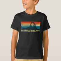 Parc national de Moab Arches Utah vintage