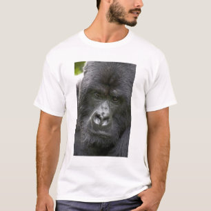 T-shirt Parc national des Volcans, Rwanda, Gorilles de mon