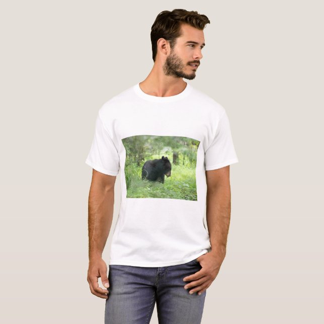 T-shirt Parkway Blue Ridge - Ours 2 (Devant entier)