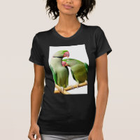 parrot