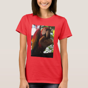 T-shirt Parrot Macaw Scarlet Manger Toast