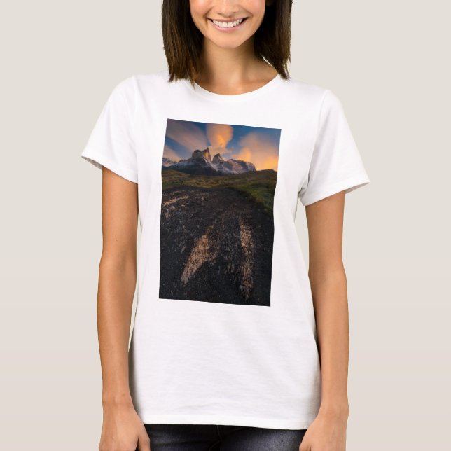 T-shirt Patagonia (Devant)