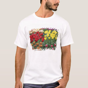 T-shirt Pays-Bas, Jardins Keukenhoff, tulipes.