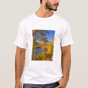 T-shirt Paysage d'arbres en automne, Maine