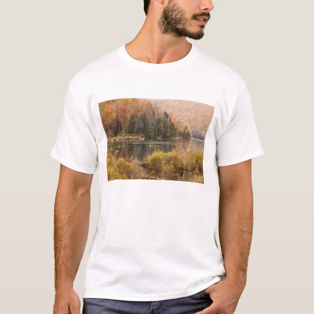 T-shirt Paysage d'automne avec lac, Vermont, États-Unis 3 (Devant)