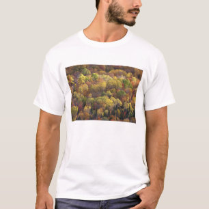 T-shirt Paysage d'automne, Vermont, États-Unis 2
