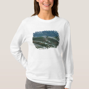 T-shirt Paysage de rizières en terrasses dans la montagne,