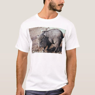 T-shirt Peccary colleté (javelina)