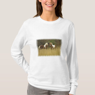 T-shirt Peignez les poneys dans la longue chemise de