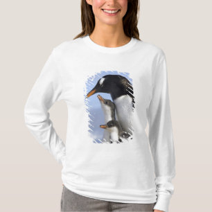 T-shirt Péninsule Antarctique, Neko Harbour, Gentoo