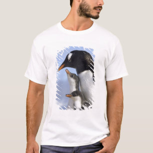 T-shirt Péninsule Antarctique, Neko Harbour, Gentoo