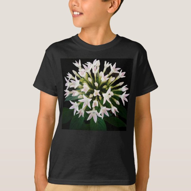 T-shirt Pentas blancs (Devant)