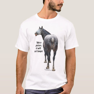 T-shirt Percheron prennent une photo