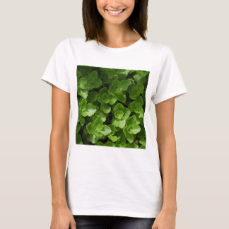 T-shirt Perdu en Feuille
