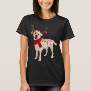 T-shirt Père Noël Labrador rennes de repérage Noël clair