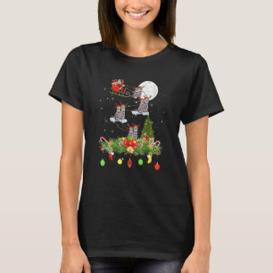 T-shirt Père Noël montant un traîneau de rennes de chat jo