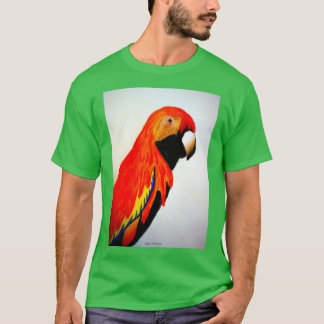 T-shirt Perroquet 8 2